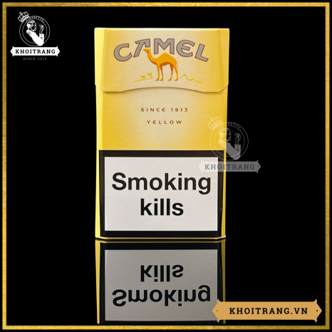 Camel